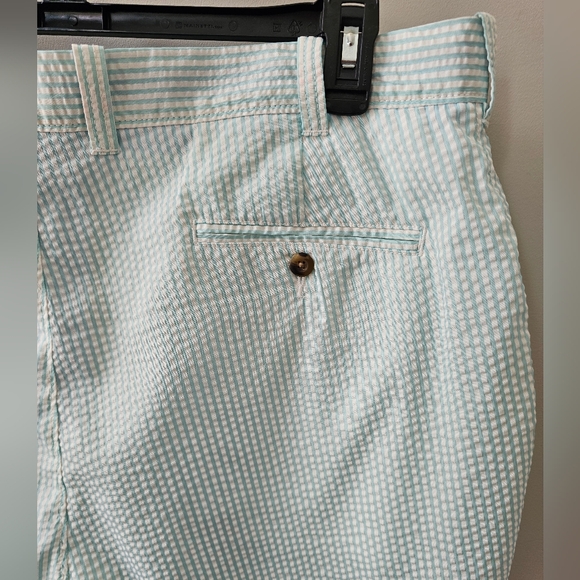TRUE FLIES Mens Gasparilla Blue & White Seersucker Shorts - Picture 2 of 9